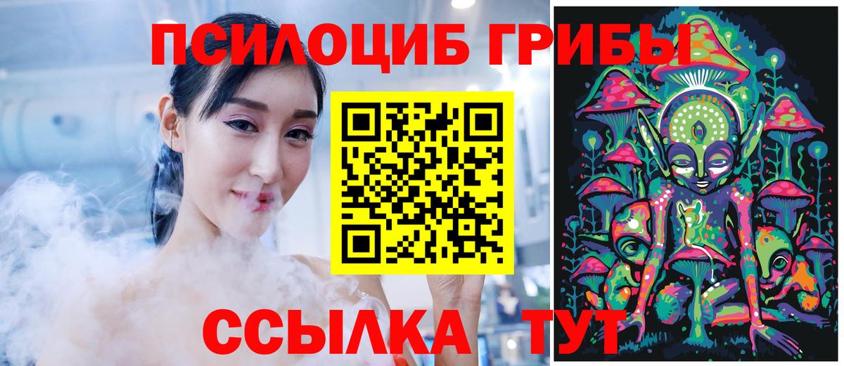 Псилоцибиновые грибы Psilocybe Вязьма